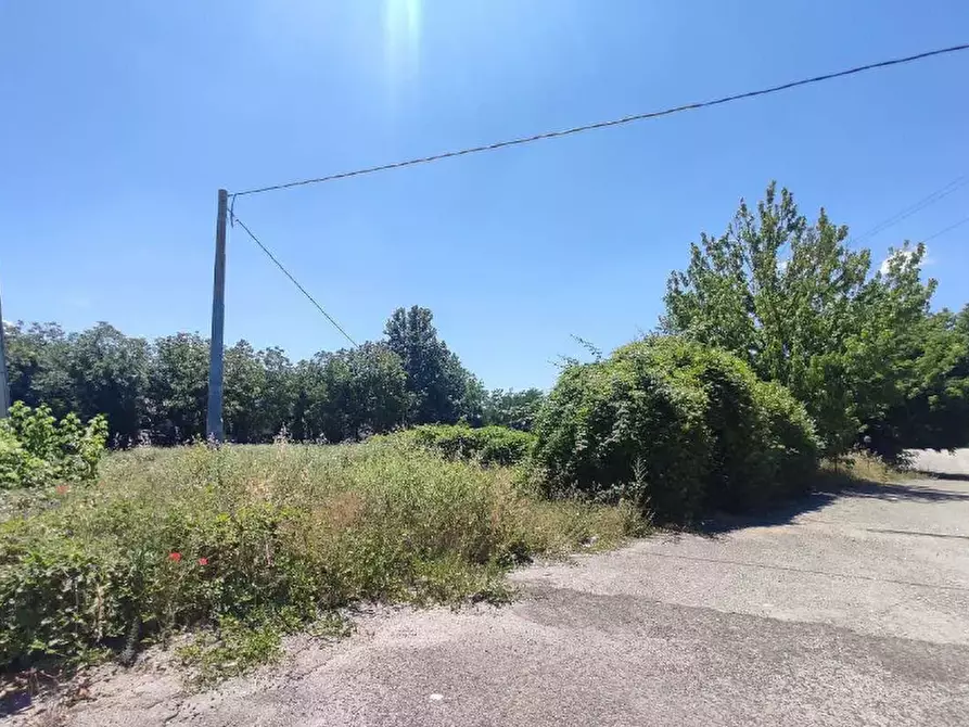 Immagine 2 di Terreno agricolo in vendita  in V. Armando Vona a Frosinone