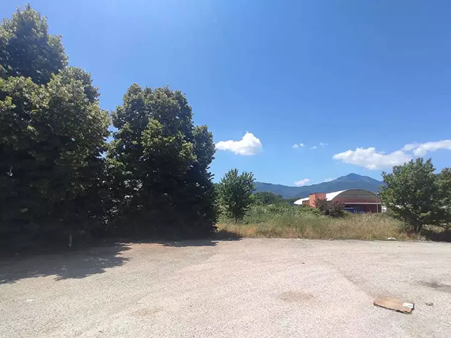 Immagine 4 di Terreno agricolo in vendita  in V. Armando Vona a Frosinone