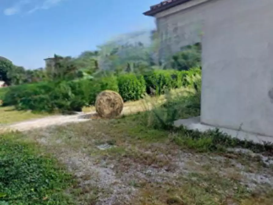 Immagine 5 di Terreno edificabile in vendita  in Via IV novembre a Musile Di Piave