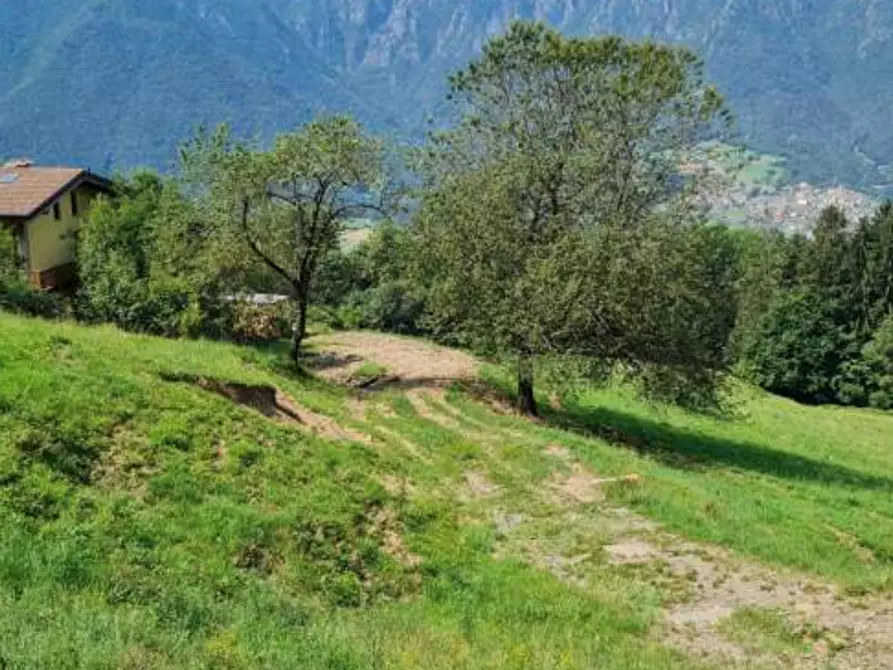 Immagine 2 di Terreno agricolo in vendita  in Via Camarelli a San Giovanni Bianco