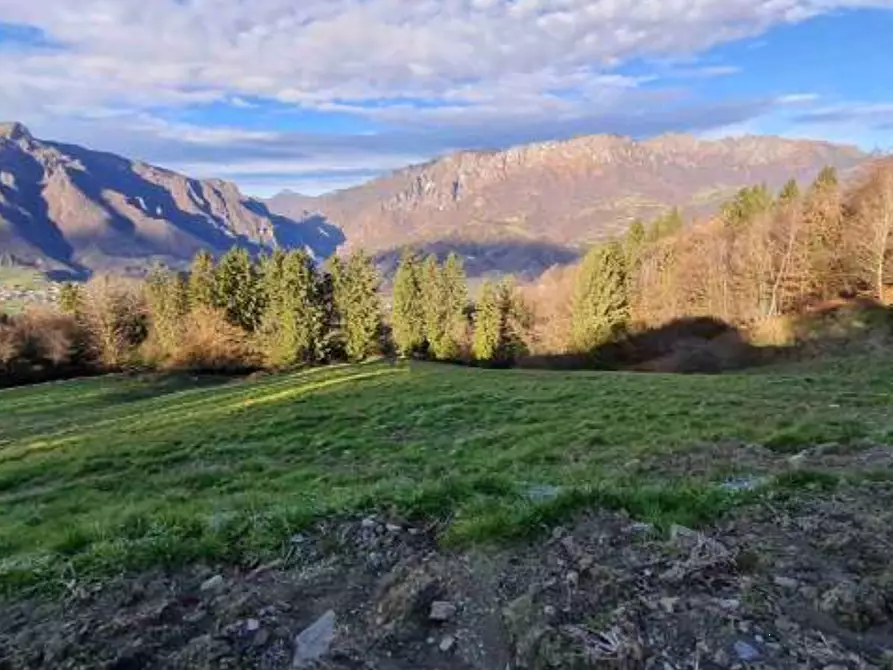 Immagine 4 di Terreno agricolo in vendita  in Via Camarelli a San Giovanni Bianco