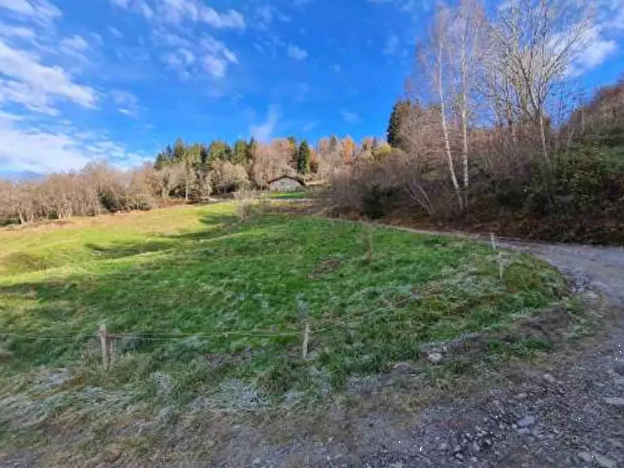Immagine 2 di Terreno agricolo in vendita  in Via Camarelli a San Giovanni Bianco