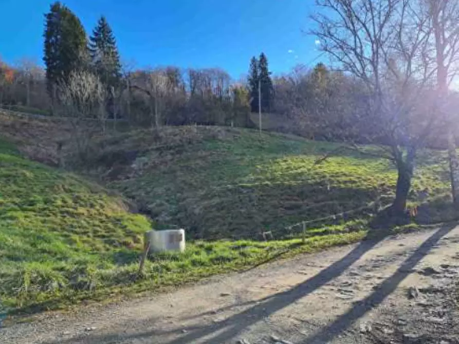 Immagine 5 di Terreno agricolo in vendita  in Via Camarelli a San Giovanni Bianco