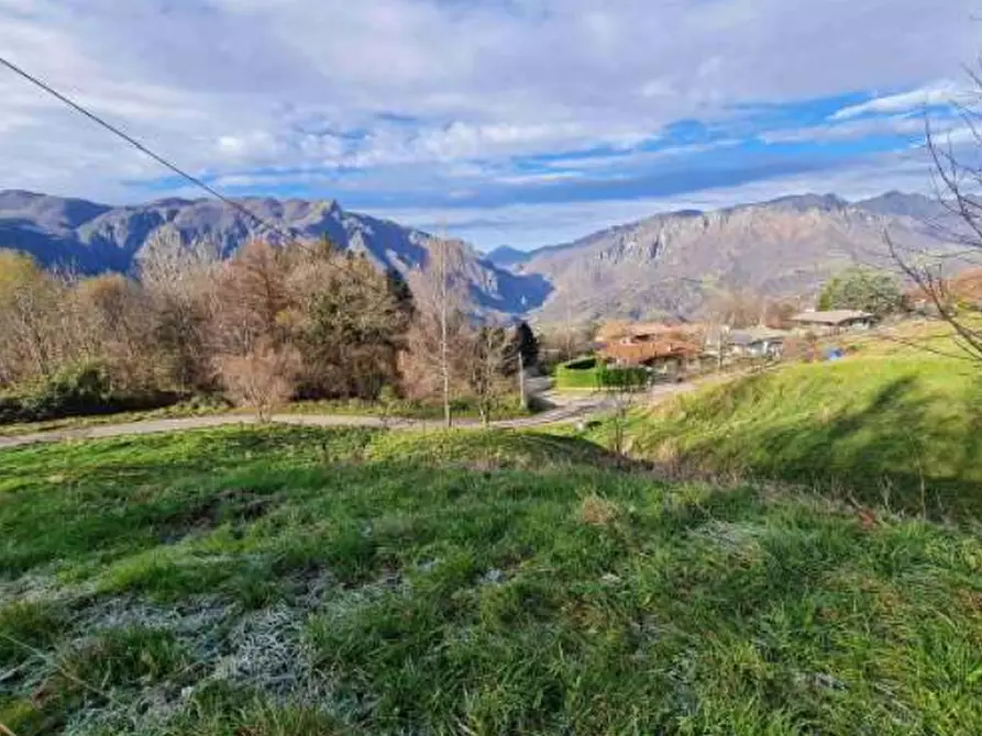 Immagine 1 di Terreno agricolo in vendita  in Via Camarelli a San Giovanni Bianco