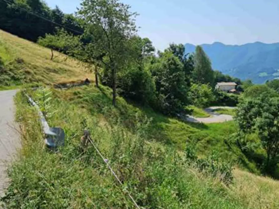 Immagine 9 di Terreno agricolo in vendita  in Via Camarelli a San Giovanni Bianco