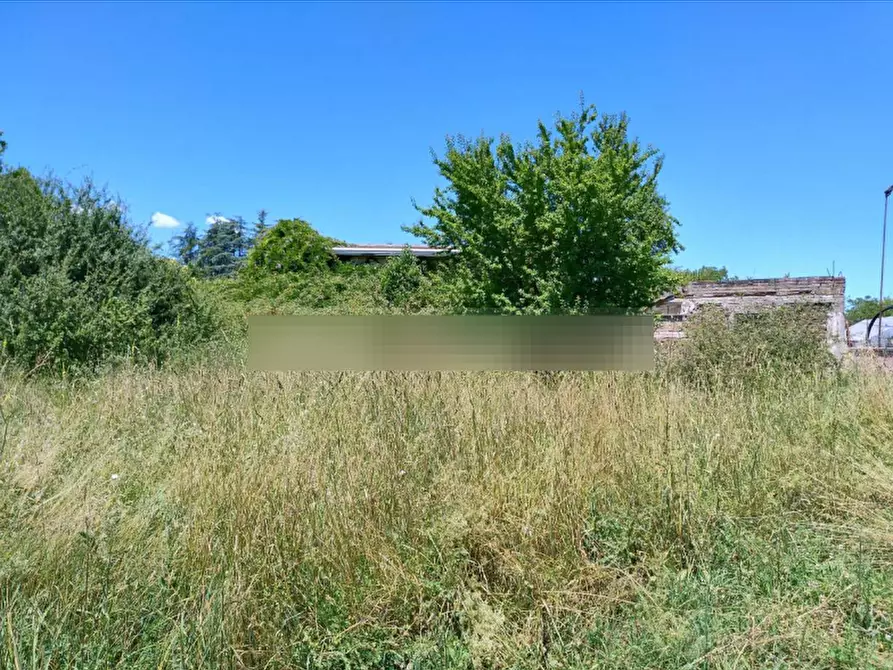Immagine 2 di Terreno agricolo in vendita  in Via Sodine a Frosinone