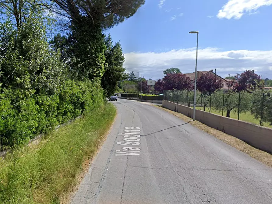 Immagine 5 di Terreno agricolo in vendita  in Via Sodine a Frosinone