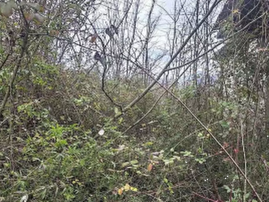 Immagine 2 di Casa indipendente in vendita  in Via Forcella a Frosinone
