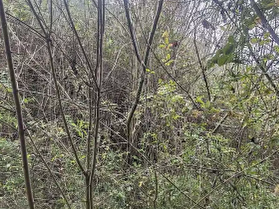 Immagine 9 di Casa indipendente in vendita  in Via Forcella a Frosinone