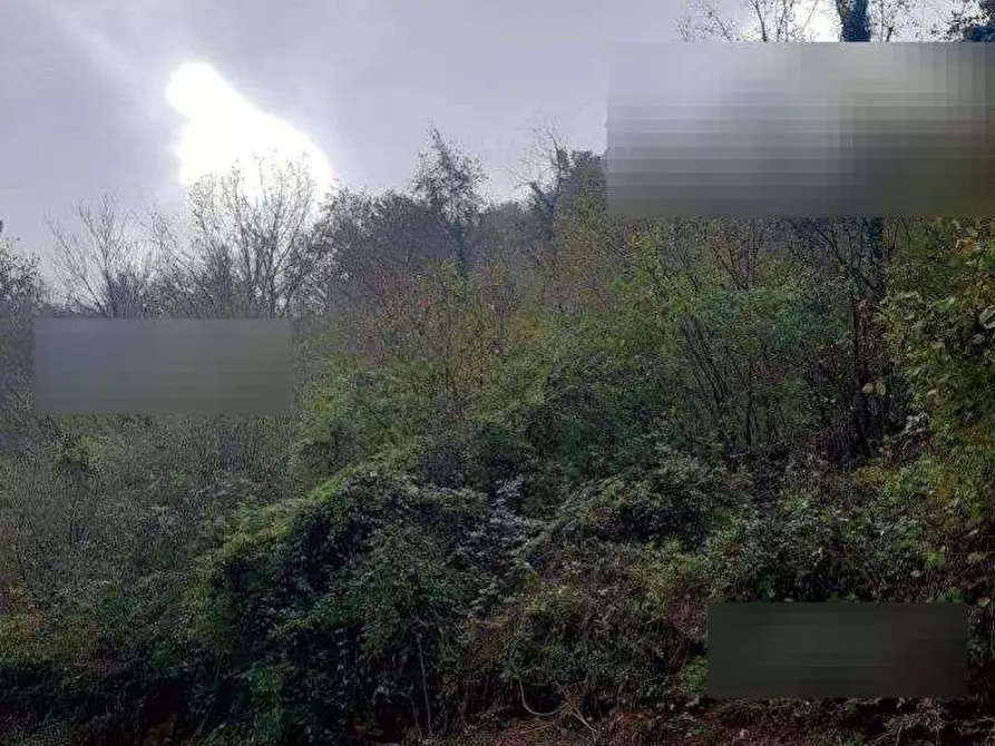 Immagine 5 di Rustico / casale in vendita  in Loc. Astirezzi a Scagnello