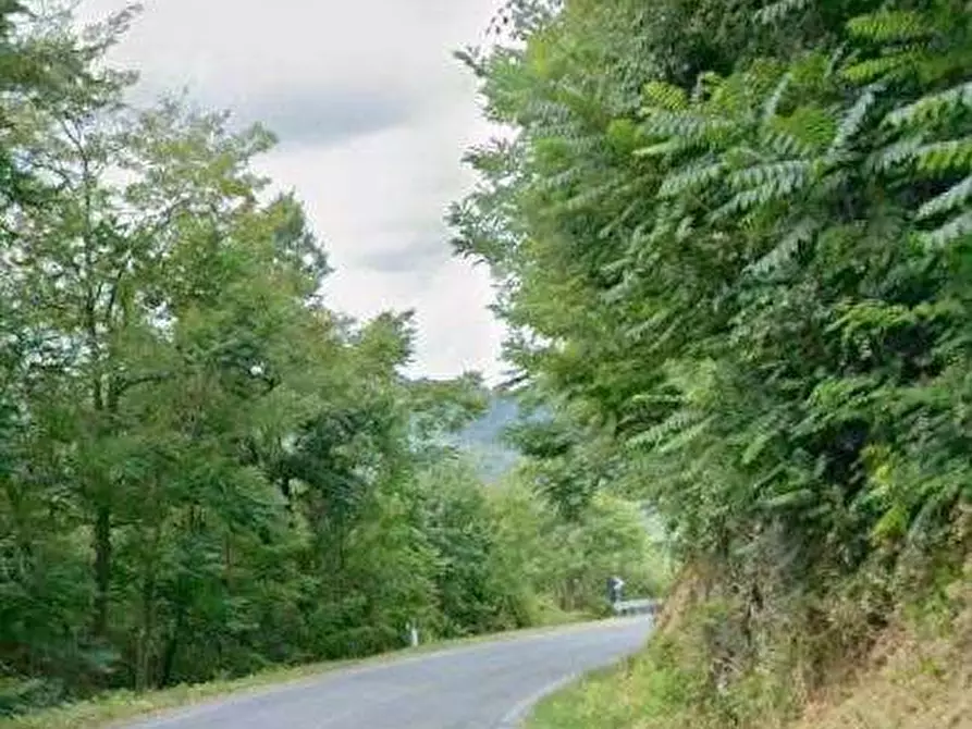 Immagine 6 di Rustico / casale in vendita  in Loc. Astirezzi a Scagnello