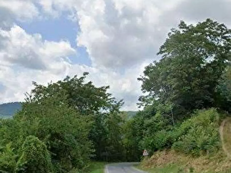 Immagine 9 di Rustico / casale in vendita  in Loc. Astirezzi a Scagnello