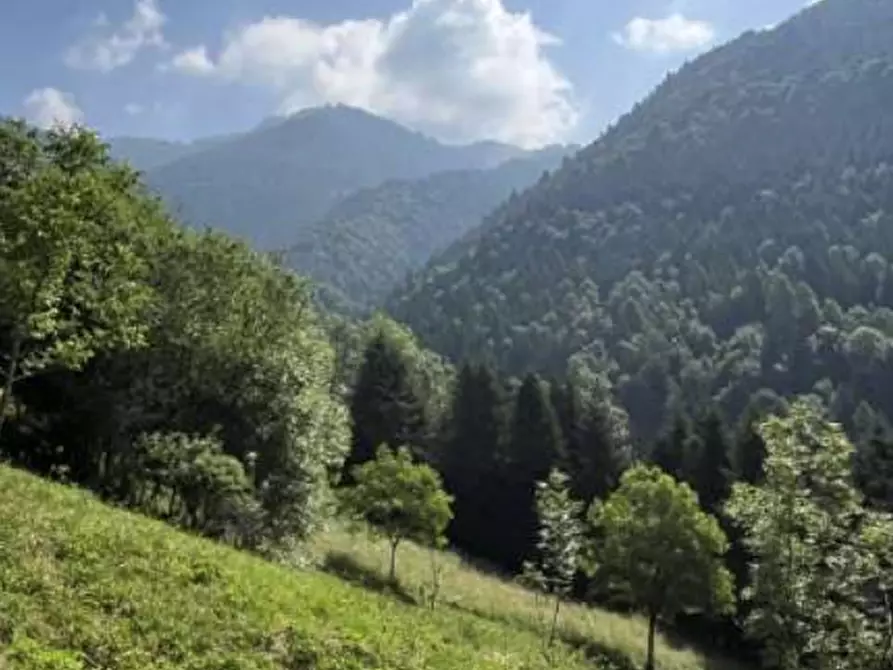 Immagine 1 di Terreno agricolo in vendita  in Località Pianezze a Azzone