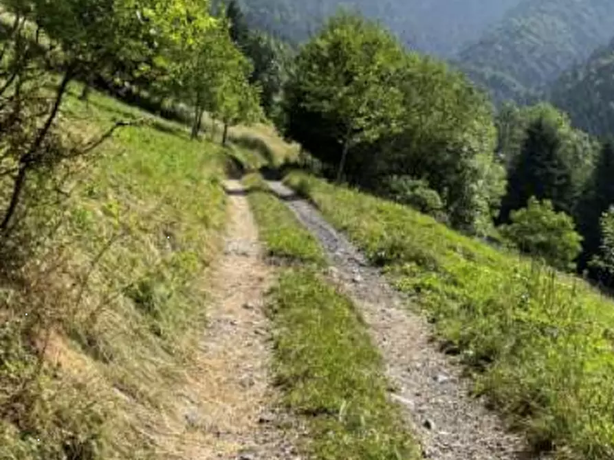 Immagine 2 di Terreno agricolo in vendita  in Località Pianezze a Azzone