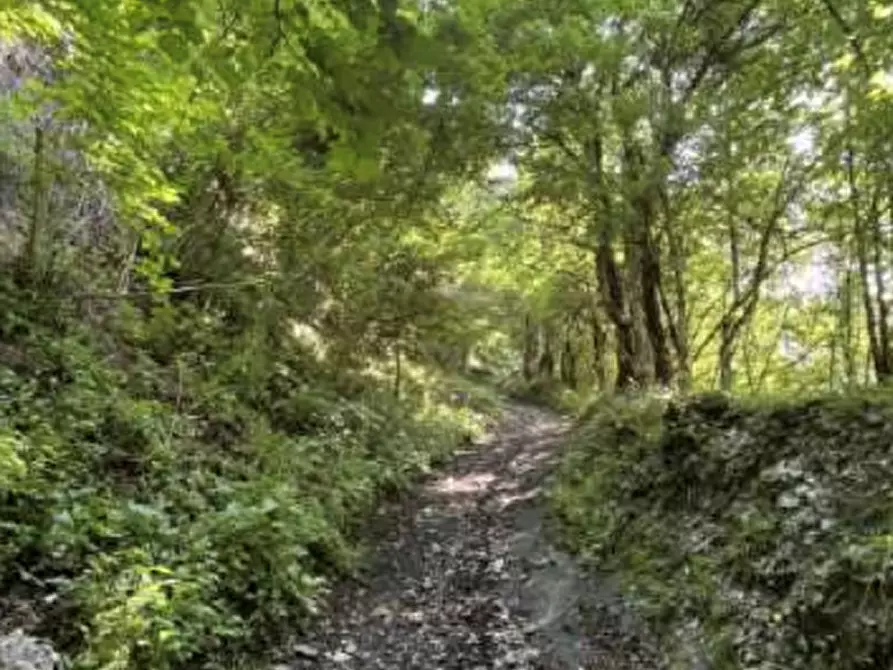 Immagine 4 di Terreno agricolo in vendita  in Località Pianezze a Azzone