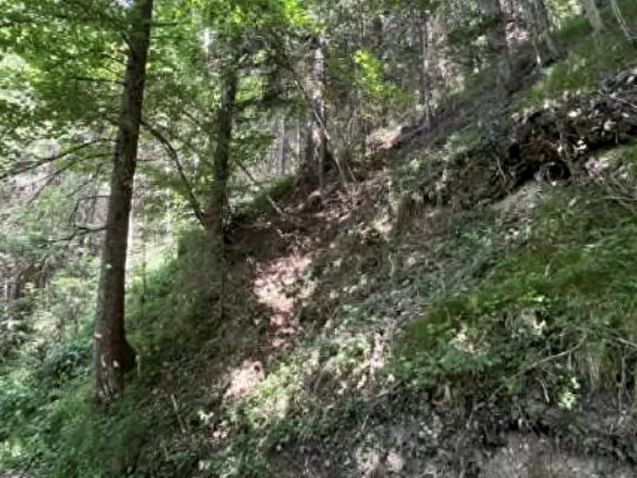 Immagine 5 di Terreno agricolo in vendita  in Località Pianezze a Azzone
