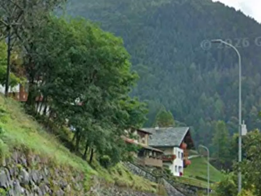Immagine 6 di Terreno agricolo in vendita  in Località Pianezze a Azzone