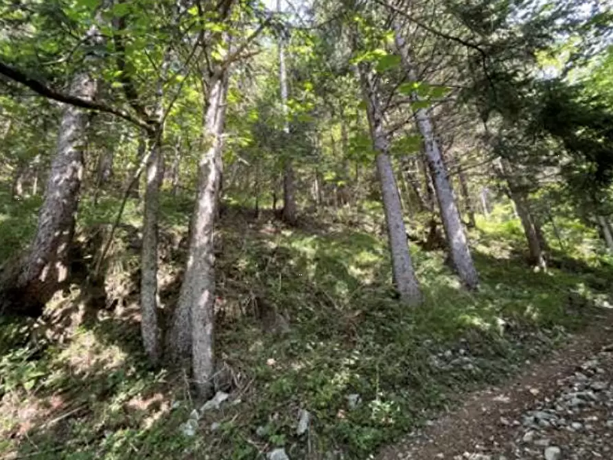 Immagine 8 di Terreno agricolo in vendita  in Località Pianezze a Azzone