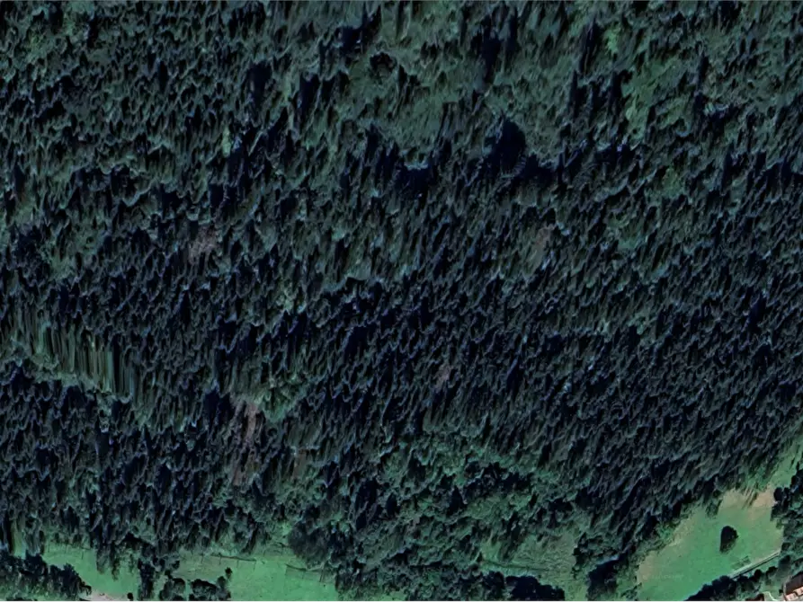 Immagine 13 di Terreno agricolo in vendita  in Località Pianezze a Azzone