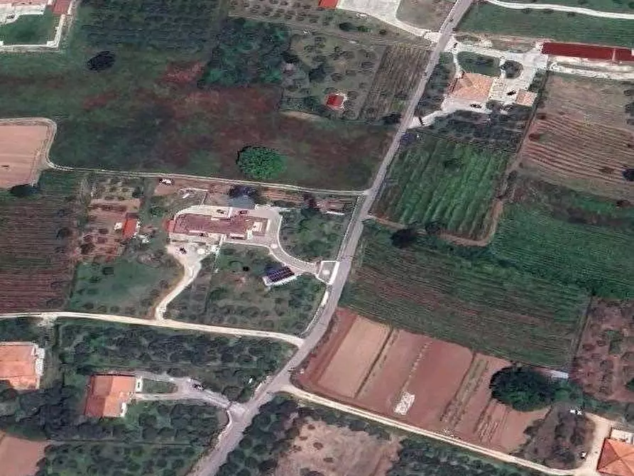 Immagine 8 di Villa in vendita  in via Pisicariello a Sant'elia Fiumerapido
