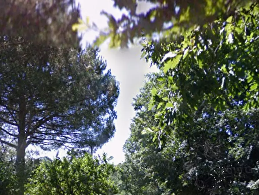 Immagine 4 di Casa indipendente in vendita  in Via Cesanese a Roma