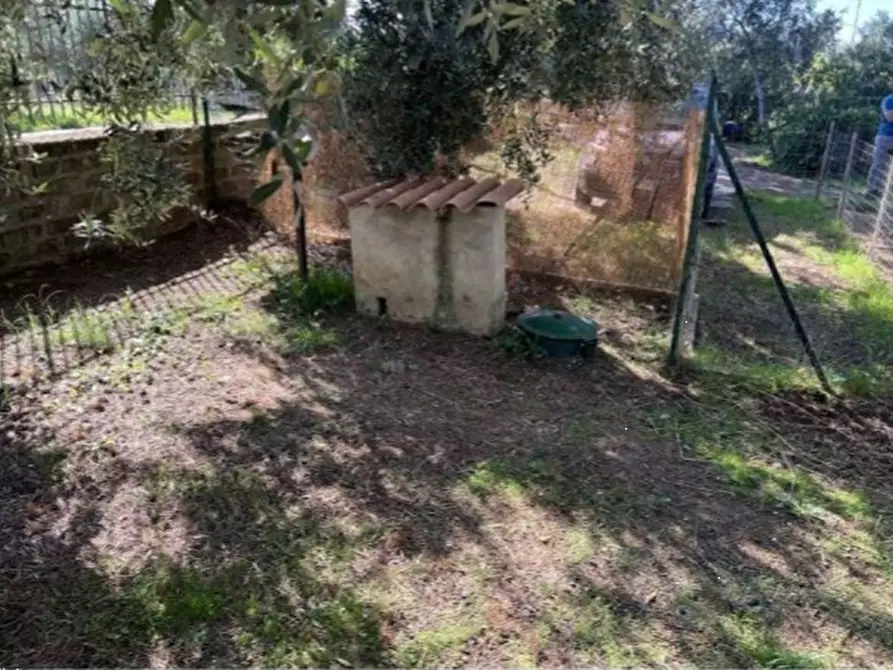 Immagine 3 di Casa bifamiliare in vendita  in Via Montegiove Vecchio a Lanuvio