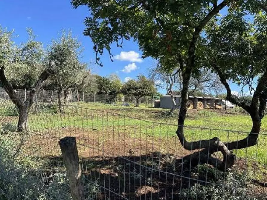 Immagine 7 di Casa bifamiliare in vendita  in Via Montegiove Vecchio a Lanuvio
