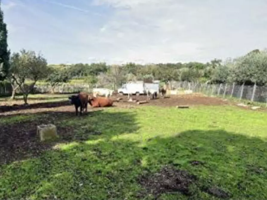 Immagine 8 di Casa bifamiliare in vendita  in Via Montegiove Vecchio a Lanuvio