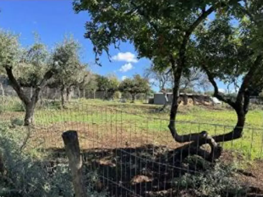 Immagine 11 di Casa bifamiliare in vendita  in Via Montegiove Vecchio a Lanuvio