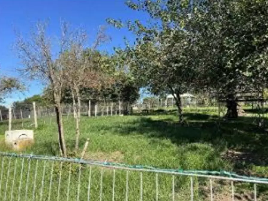 Immagine 12 di Casa bifamiliare in vendita  in Via Montegiove Vecchio a Lanuvio