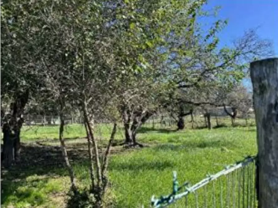 Immagine 13 di Casa bifamiliare in vendita  in Via Montegiove Vecchio a Lanuvio