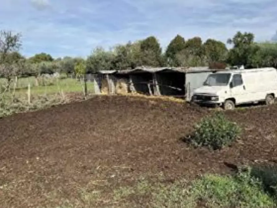 Immagine 15 di Casa bifamiliare in vendita  in Via Montegiove Vecchio a Lanuvio