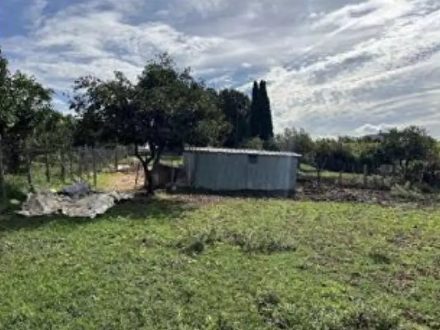 Immagine 17 di Casa bifamiliare in vendita  in Via Montegiove Vecchio a Lanuvio