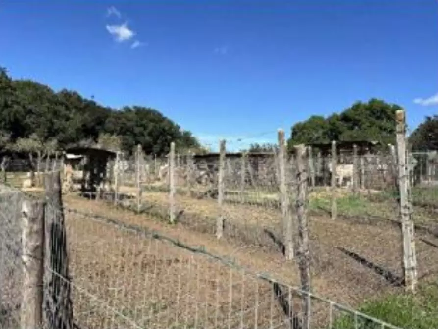 Immagine 19 di Casa bifamiliare in vendita  in Via Montegiove Vecchio a Lanuvio