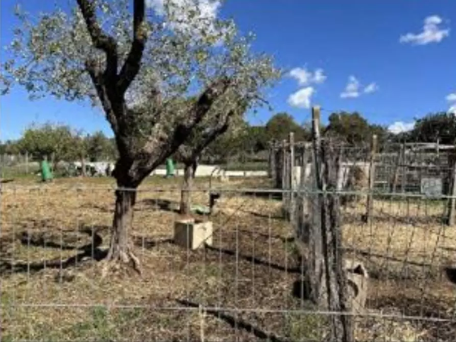 Immagine 20 di Casa bifamiliare in vendita  in Via Montegiove Vecchio a Lanuvio