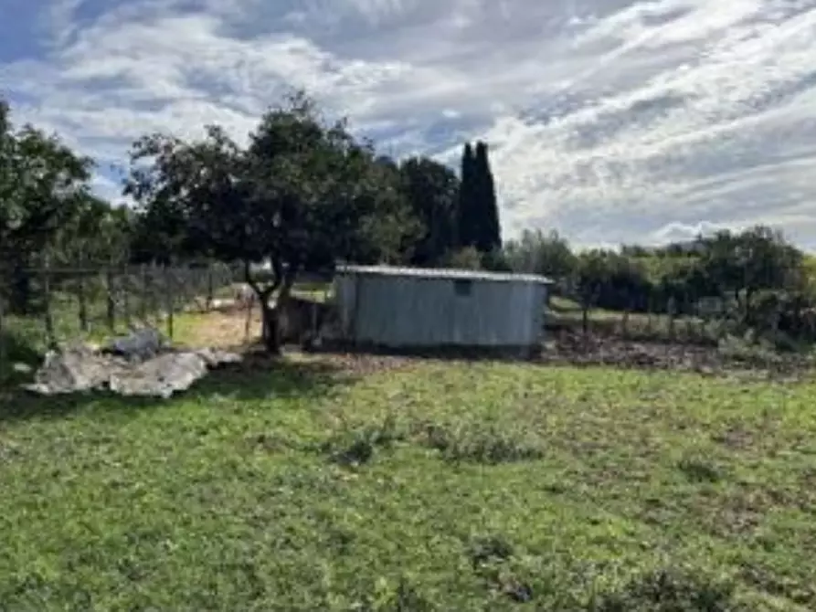 Immagine 22 di Casa bifamiliare in vendita  in Via Montegiove Vecchio a Lanuvio
