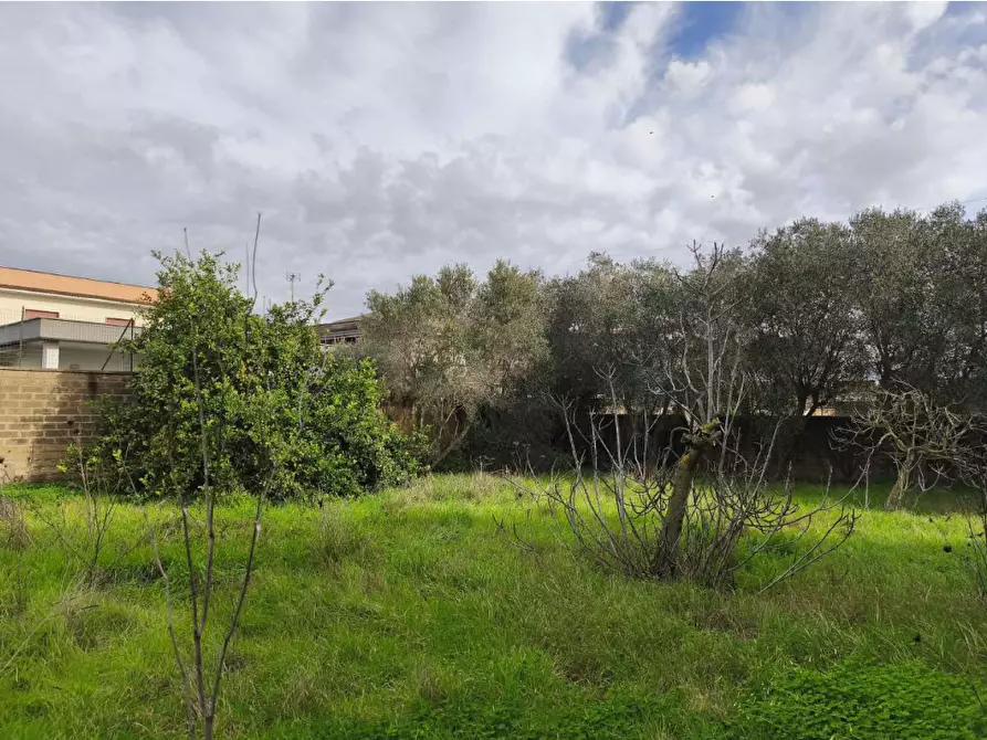 Immagine 1 di Terreno agricolo in vendita  in Via del Cinema a Anzio