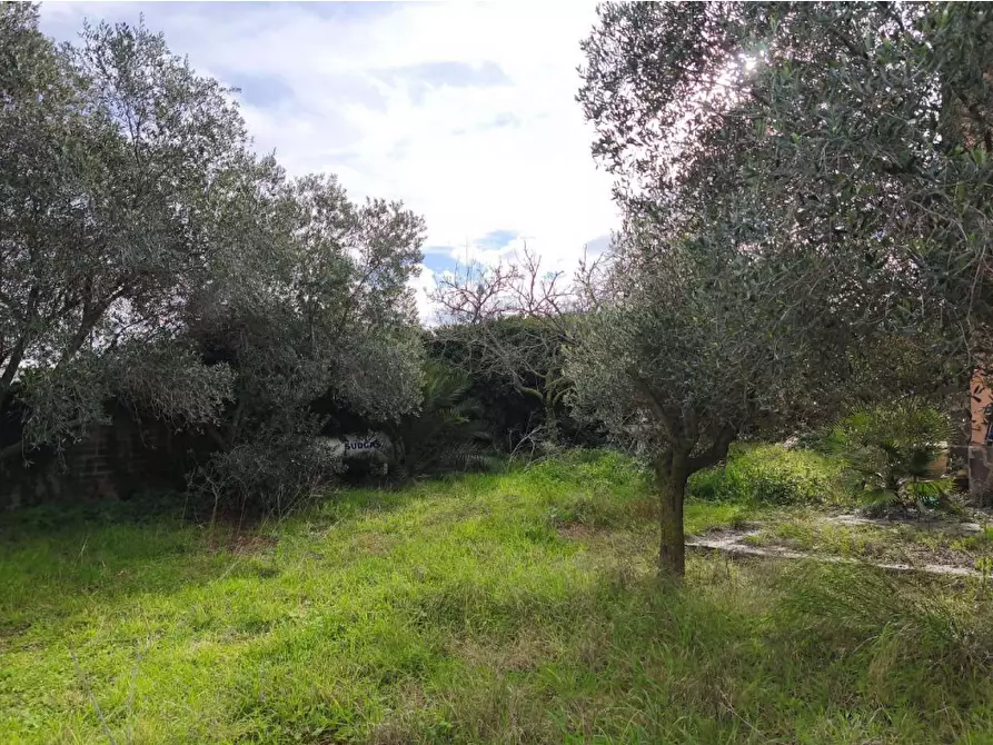 Immagine 2 di Terreno agricolo in vendita  in Via del Cinema a Anzio