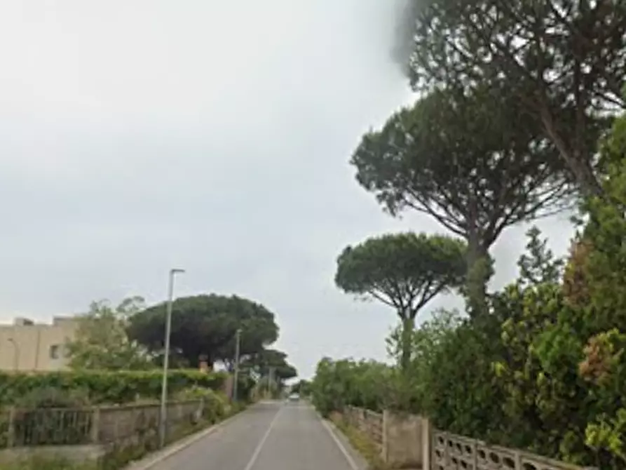 Immagine 4 di Terreno agricolo in vendita  in Via del Cinema a Anzio