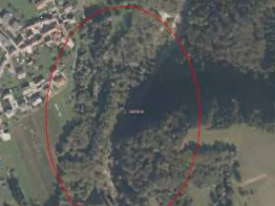 Immagine 9 di Terreno agricolo in vendita  in Via Gioz a Belluno