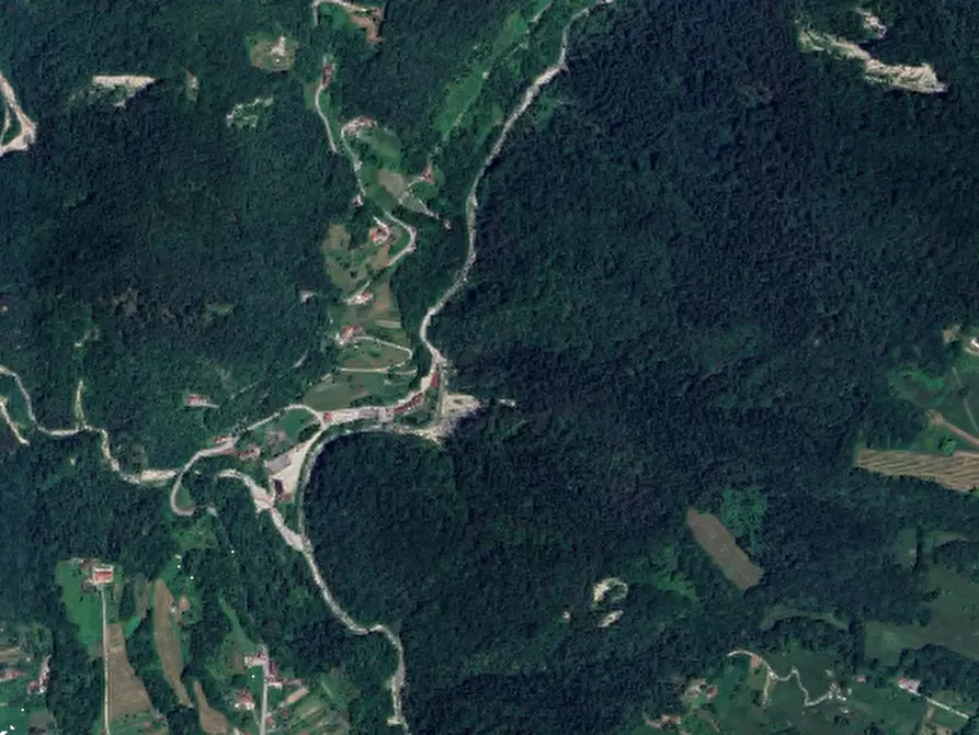 Immagine 4 di Terreno agricolo in vendita  in Via Pra dei Luni a Belluno