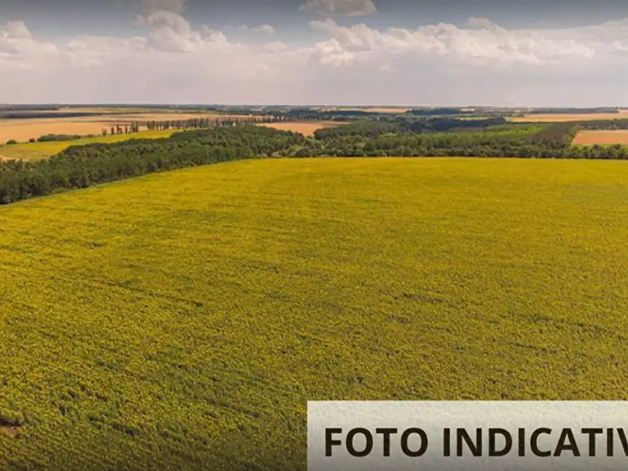 Immagine 4 di Terreno edificabile in vendita  in Via San Fedele a Alta Valle Intelvi