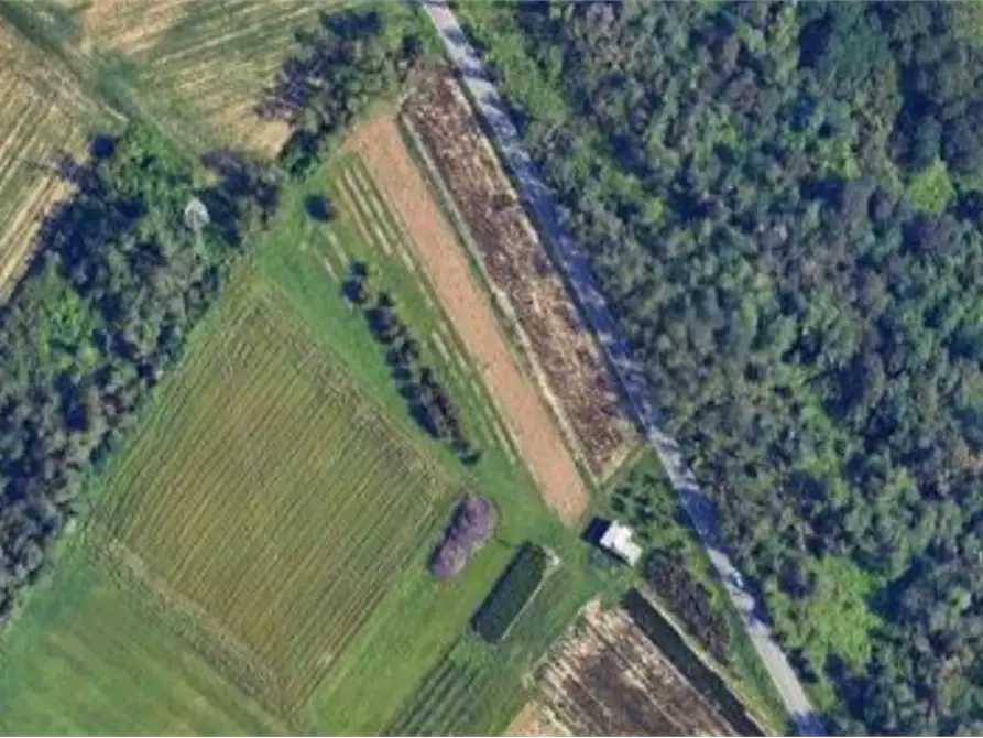 Immagine 2 di Terreno agricolo in vendita  in Strada costiera a Cornate D'adda
