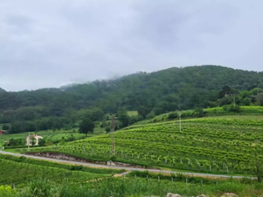 Immagine 2 di Terreno agricolo in vendita  in Via Regazzoni Bassa a Montegrotto Terme