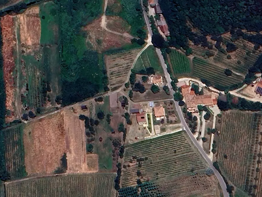 Immagine 11 di Terreno agricolo in vendita  in Via Regazzoni Bassa a Montegrotto Terme