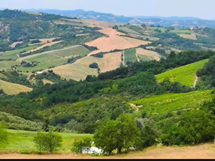 Immagine 1 di Terreno agricolo in vendita  in Via della Valle in Tessello a Cesena