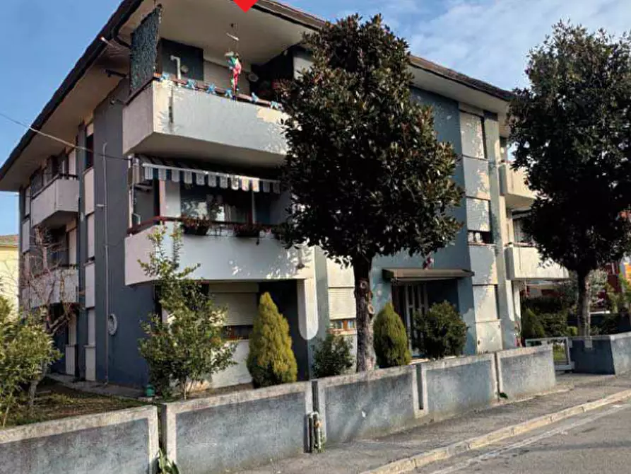 Immagine 3 di Appartamento in vendita  in Via Giuseppe Verdi a Trebaseleghe