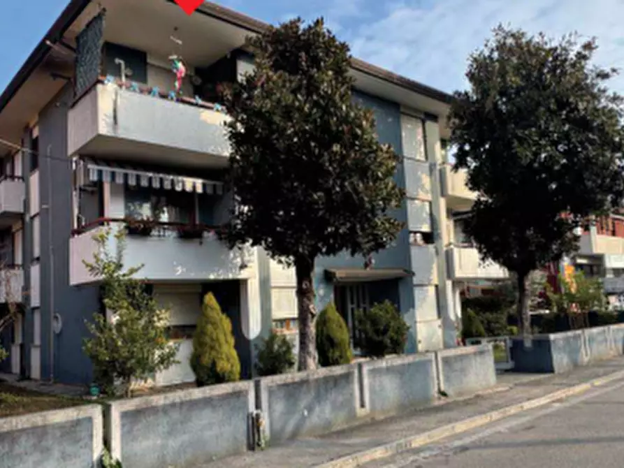 Immagine 4 di Appartamento in vendita  in Via Giuseppe Verdi a Trebaseleghe
