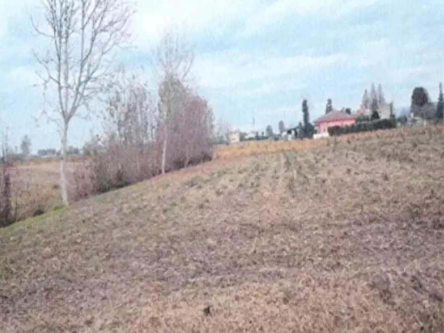 Immagine 1 di Terreno agricolo in vendita  in Via San Salvaro a Urbana
