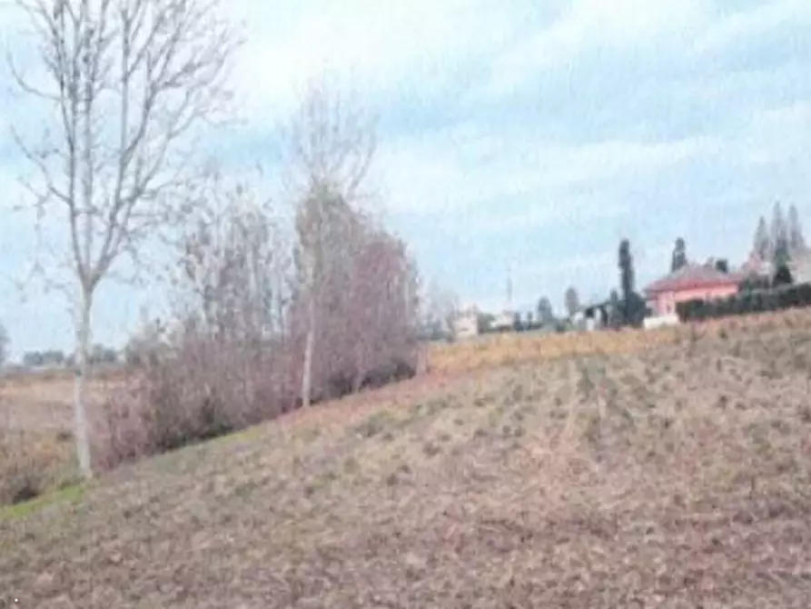 Immagine 2 di Terreno agricolo in vendita  in Via San Salvaro a Urbana